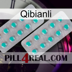 Qibianli 29